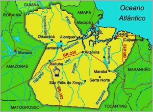 Operamos o serviço de transporte de cargas em balsas Manaus x Itaituba x Manaus, transportando seu veículo, caminhão, carreta, container, máquinas, material de construção, carga viva ou frigorificada, mercadorias, grãos, minérios, enfim, o que você precisar.